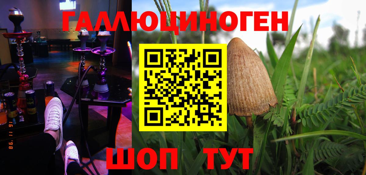 Галлюциногенные грибы мицелий  Псилоцибиновые грибы MAGIC MUSHROOMS  Канаш  Вход с VPN 